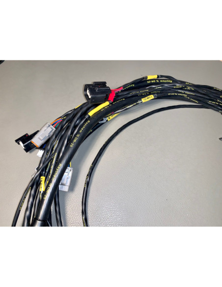 GM LS3 to KV Motorsports Kontakterad Kabelmatta GM LS3 to KV Motorsports Kontakterad Kabelmatta