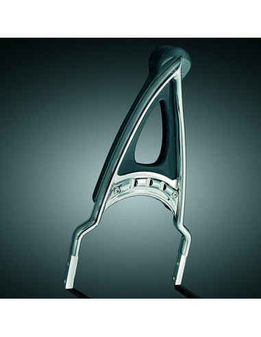 RAPTOR BAR         B