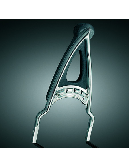 RAPTOR BAR         B