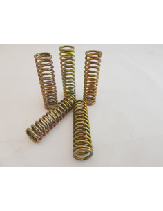 CLUTCH SPRING SET V-ROD 02-07