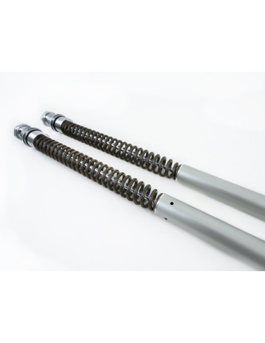 Harley-Davidson Touring FLHx/FLT*B*