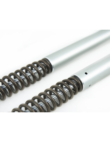 Harley-Davidson Touring FLHx/FLT*B*