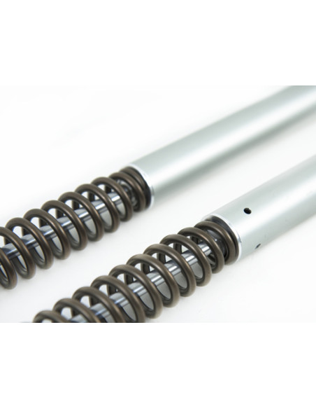 Harley-Davidson Touring FLHx/FLT*B*