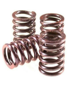 KOPPLINGSFJÄDRAR DUCATI