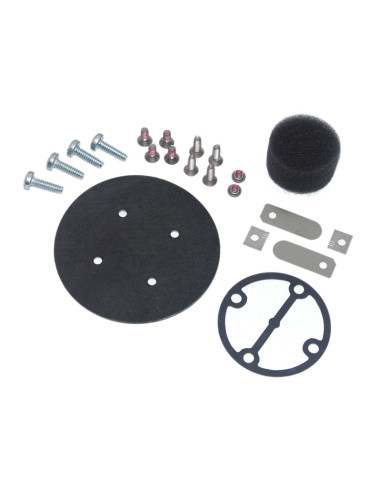 AFR PUMP HEAD REPAIR KIT 30