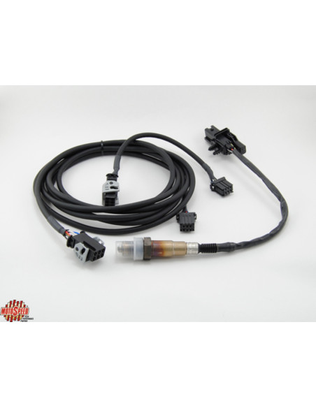 DWRT AFR SENSOR KIT 12'