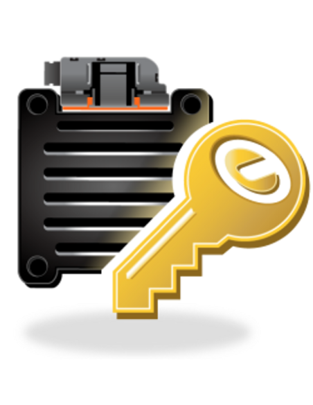 DYNOJET POWER VISION TUNING LICENSE