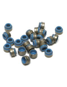 PKG VALVE SEAL TC EVO XL 84-02 25P