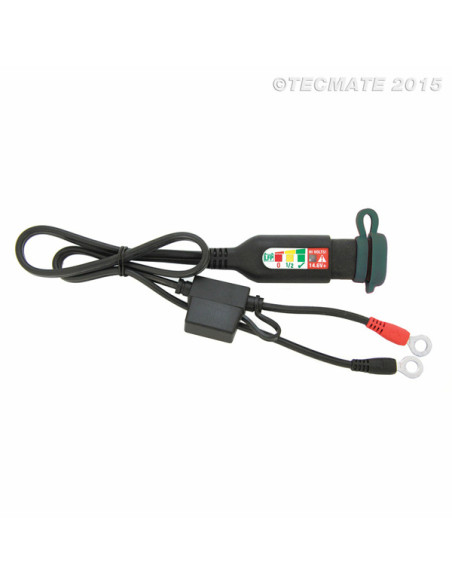 SAE LADDNINGS FLASH INDIKAT-LITHIU SAE LADDNINGS FLASH INDIKAT-LITHIU