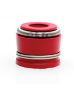 Seal Red Viton 50mm Stem x 0340