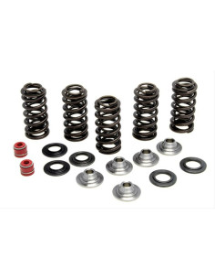 VENTILFJÄDERKIT YZFWR250 01-13