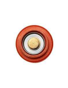 DIAPHRAGM SERVICE REPLACEMENT FP 2