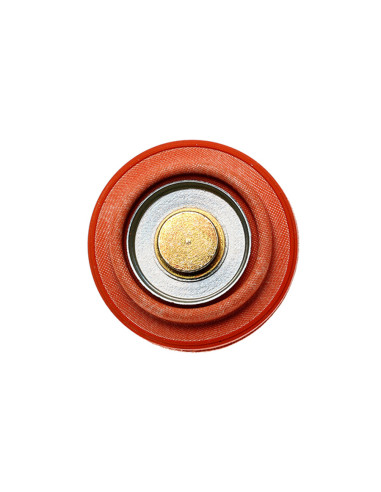 DIAPHRAGM SERVICE REPLACEMENT FP