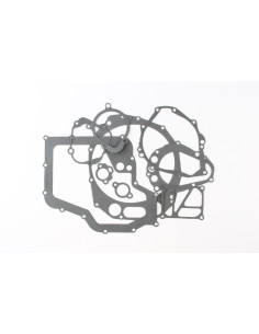 PKG CASE R1300 99-UP