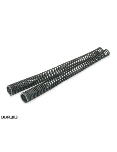 FORK SPRING KIT HARLEY FLH 02-05