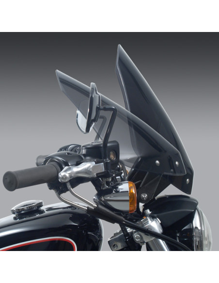 WS GLADIATORBL MOUNT D-TINT XR120