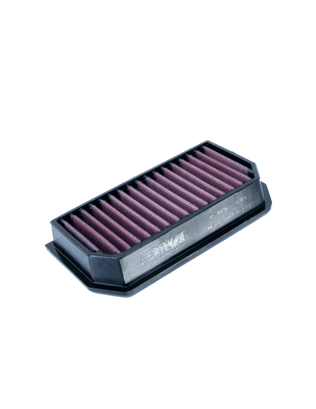 DNA FILTERS AP RS 660 20-21