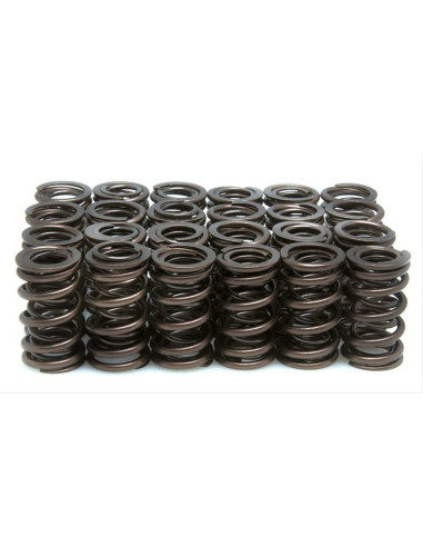 VENTILFJÄDERSET .500 CBX1000 6 CYL