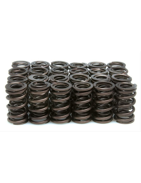 VENTILFJÄDERSET .500 CBX1000 6 CYL