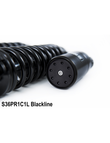 HD FXD Dyna Black Line 336