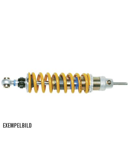 Triumph Thruxton / Scrambler