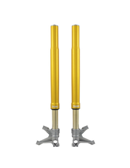 Front fork Superbike