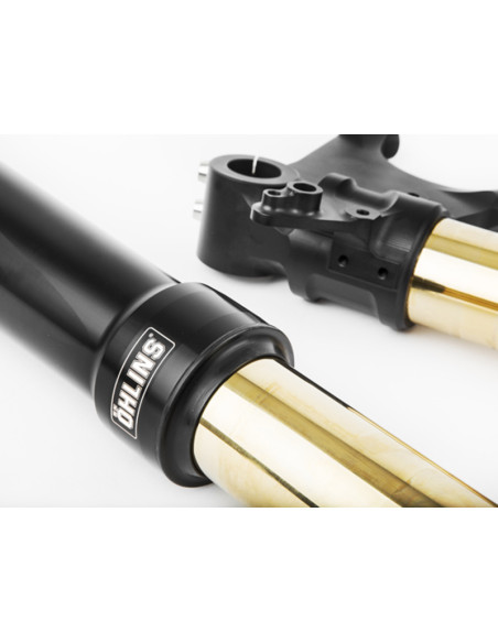 Front fork R&T Ducati Diavel