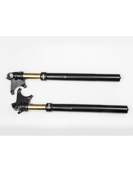 Front fork R&T Ducati Diavel
