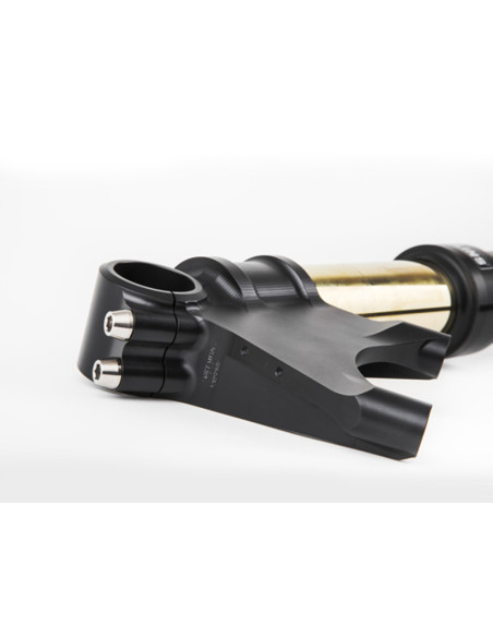 Front fork R&T Ducati Diavel