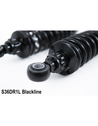 Triumph Thruxton / Scrambler