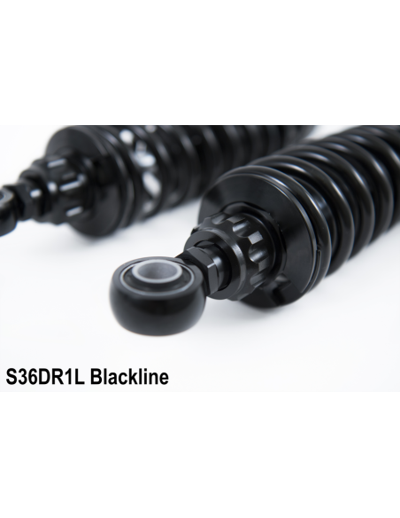 Triumph Thruxton / Scrambler