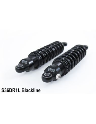 Triumph Thruxton / Scrambler