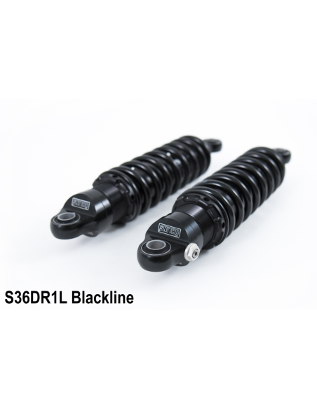 Triumph Thruxton / Scrambler