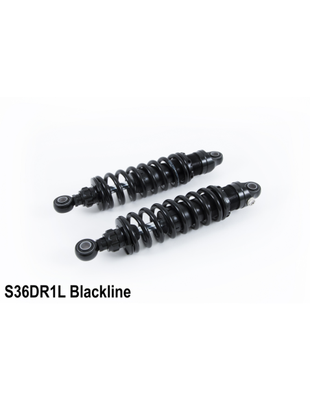 Triumph Thruxton / Scrambler