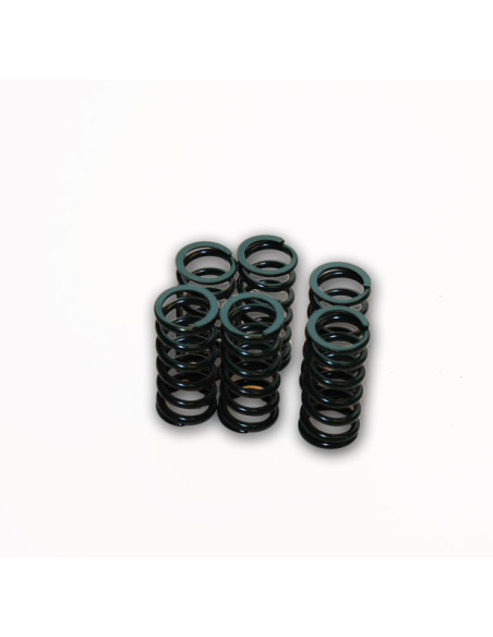 CLUTCH SPRING SET V-ROD 08-