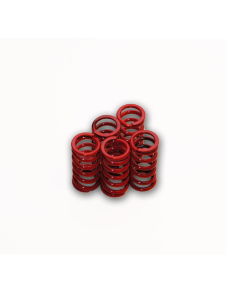 CLUTCH SPRING SET EXTR V-ROD 02-07 CLUTCH SPRING SET EXTR V-ROD 02-07