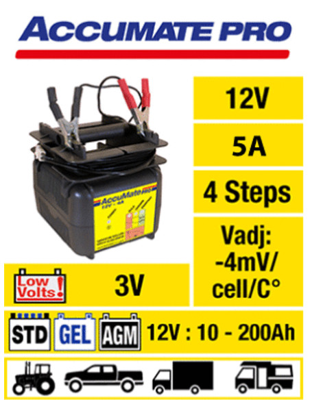 ACCUMATE PRO LADDARE 12V-5A