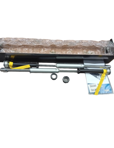 Harley-Davidson Touring FLHx/FLT*B*