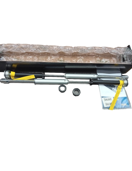 Harley-Davidson Touring FLHx/FLT*B*